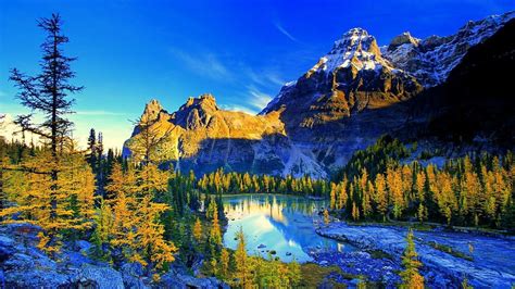 beautiful wallpaper|1,400,000+ Nature Wallpapers, HD & 4K Free Download .